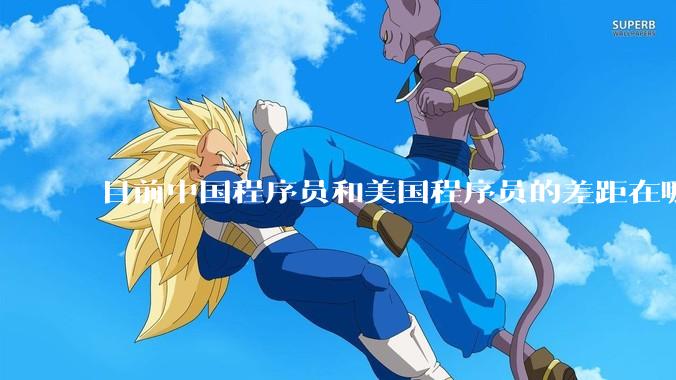 目前中国程序员和美国程序员的差距在哪里？
