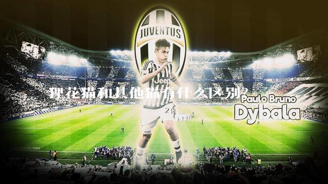 狸花猫和其他猫有什么区别？