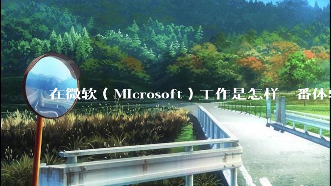 在微软（Microsoft）工作是怎样一番体验？