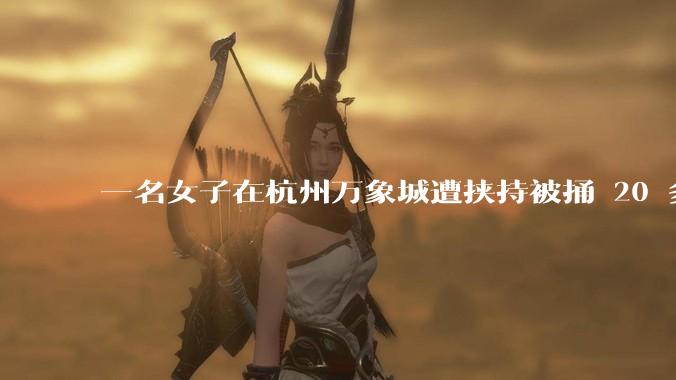 一名女子在杭州万象城遭挟持被捅 20 多刀，隆胸***体救了一命，这反映出哪些公安系统的问题？