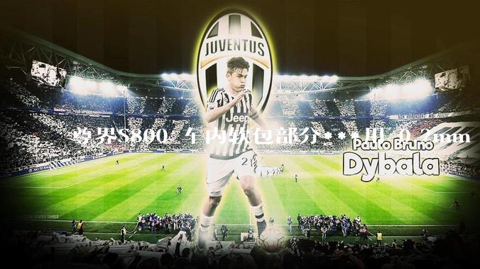 尊界S800 车内软包部分***用 0.2mm - 0.5mm 超细针脚缝制处于什么工艺水平？