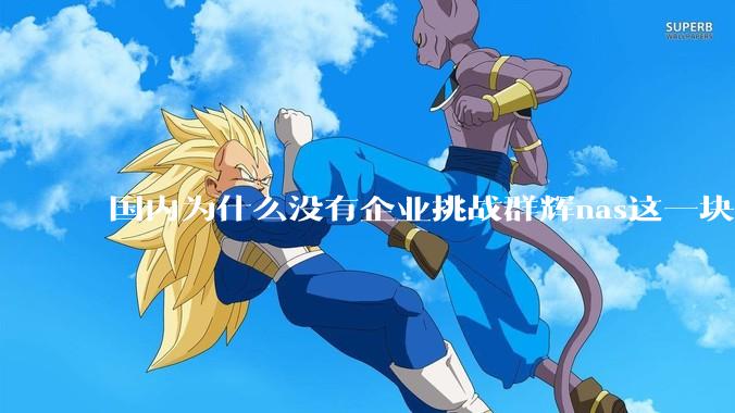 国内为什么没有企业挑战群辉nas这一块市场？