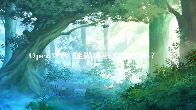 OpenWrt 能做哪些有趣的事？