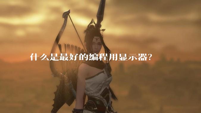 什么是最好的编程用显示器？