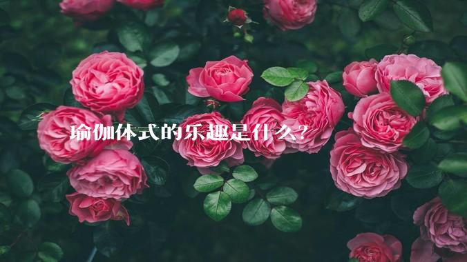 瑜伽体式的乐趣是什么？