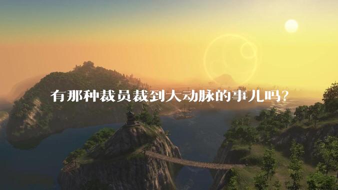 有那种裁员裁到大动脉的事儿吗？